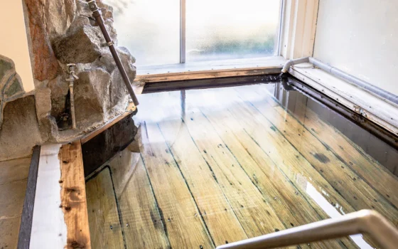 厳選かけ流し美肌の湯